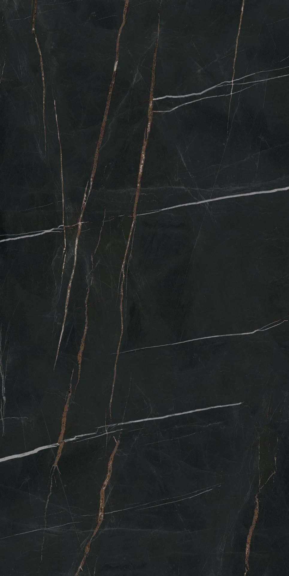 Placa de porcelanato Nero di Belgio — Pisos de Gran Formato