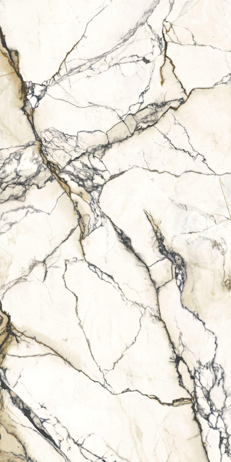 Placa de porcelanato Bianco Statuario — Pisos de Gran Formato